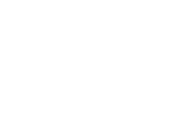 North Town Homes builder's logo