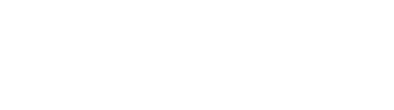 Losani Homes builder's logo