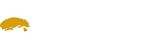 Stalwood Homes builder's logo